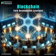 Blockchain Fork Development Solutions