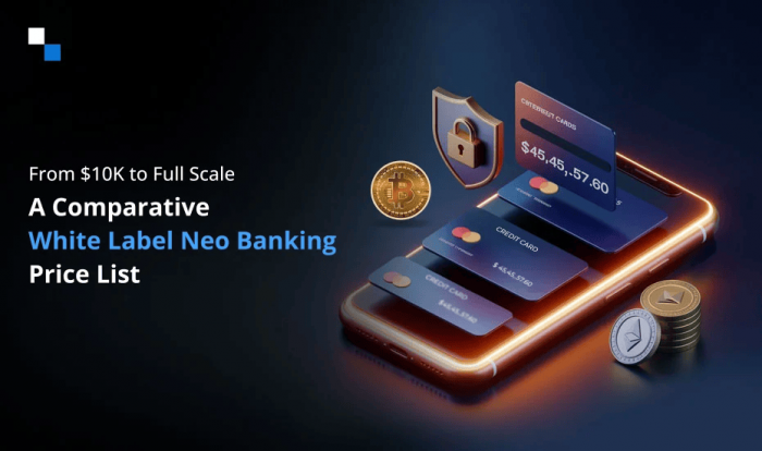 How to Evaluate the Price of a Crypto Neo Banking Platform in 2025?