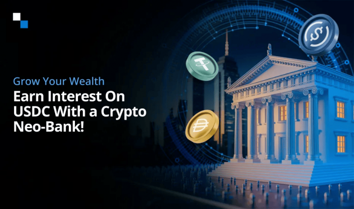 How to Earn Interest on USDC with a Crypto Neo-Bank – Complete 2025 Guide