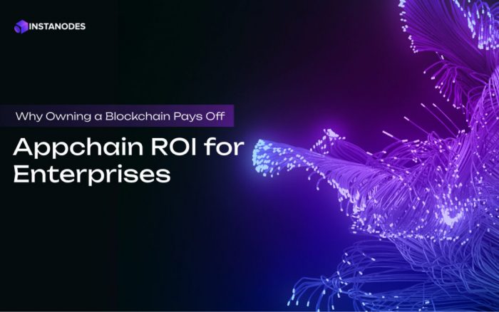 How Appchains Drive ROI for Enterprise Blockchain Adoption