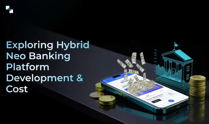 How To Create and Evaluate The Cost of a Hybrid Neo Banking Platform?
