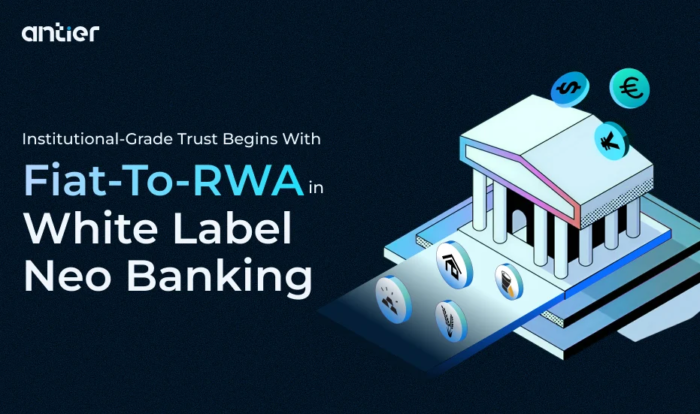 How Fiat-to-RWA Conversions Are Redefining Trust in Web3 Banking?
