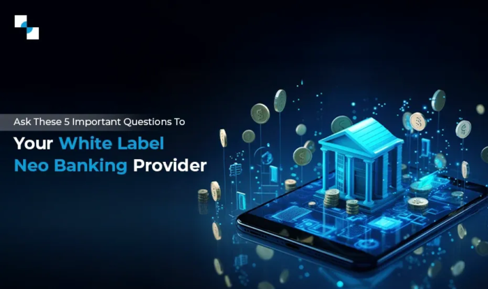 Top 5 Questions For The White Label Neo Bank Development Company You Hire