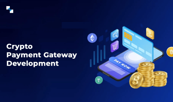Master Frictionless Blockchain Transactions With Crypto Payment Gateway Development